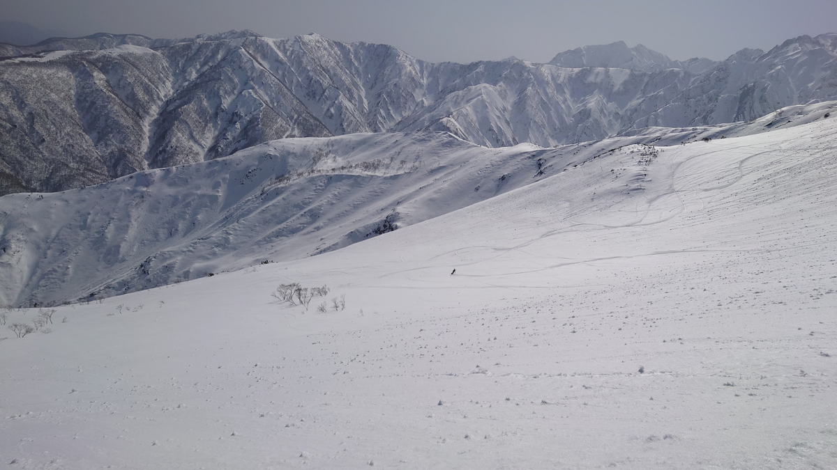 雪山の斜面を滑るスキーヤー